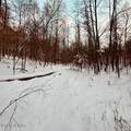  Wilderness Rd - Photo 11