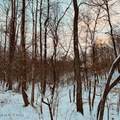  Wilderness Rd - Photo 12