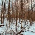  Wilderness Rd - Photo 13