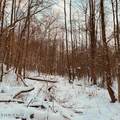  Wilderness Rd - Photo 14