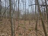  Wilderness Rd - Photo 6