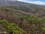 Lot 12 Paint Horse Way - Photo 22