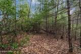 Lot 14 Paint Horse Way - Photo 11