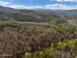 Lot 14 Paint Horse Way - Photo 21