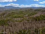 Lot 14 Paint Horse Way - Photo 23