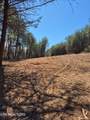 173 Akins Rd - Photo 25