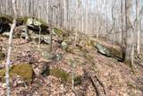 Bobcat Lane - Photo 10