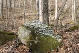  Bobcat Lane - Photo 11