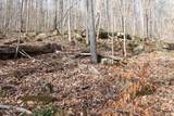  Bobcat Lane - Photo 4