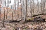  Bobcat Lane - Photo 6