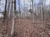  Buffalo Cove Lane - Photo 10