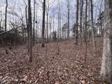  Buffalo Cove Lane - Photo 11