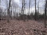  Buffalo Cove Lane - Photo 12
