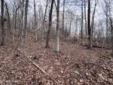  Buffalo Cove Lane - Photo 13