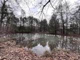  Buffalo Cove Lane - Photo 16