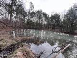  Buffalo Cove Lane - Photo 17