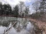  Buffalo Cove Lane - Photo 18