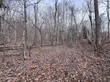  Buffalo Cove Lane - Photo 20