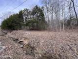  Buffalo Cove Lane - Photo 27