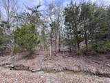  Buffalo Cove Lane - Photo 29