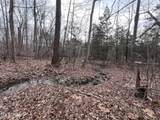  Buffalo Cove Lane - Photo 4