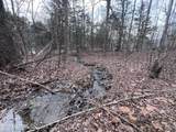  Buffalo Cove Lane - Photo 7