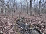  Buffalo Cove Lane - Photo 8