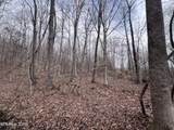  Buffalo Cove Lane - Photo 9