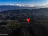  Henry Town Rd - Photo 16