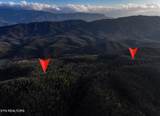  Henry Town Rd - Photo 17