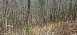 3278 Emerald Springs Loop - Photo 11