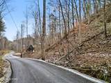 Lot 6 Emerald Springs Loop - Photo 2