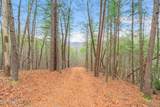 2331 Rafter Rd - Photo 1