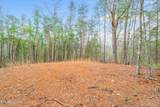2331 Rafter Rd - Photo 3