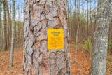 2331 Rafter Rd - Photo 9