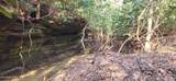 2936 Leatherwood Ford Rd - Photo 11