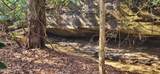 2936 Leatherwood Ford Rd - Photo 8