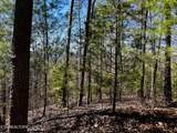 107/125 Chestnut Mountain Rd - Photo 29