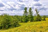  Highway 62 - Photo 6