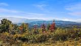 Tract 65 Alpine Drive - Photo 7