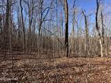 14.53 Ac Pickett Park Hwy - Photo 10
