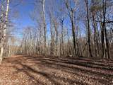 14.53 Ac Pickett Park Hwy - Photo 11