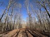 14.53 Ac Pickett Park Hwy - Photo 13