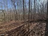 14.53 Ac Pickett Park Hwy - Photo 15