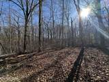 14.53 Ac Pickett Park Hwy - Photo 16