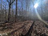 14.53 Ac Pickett Park Hwy - Photo 17