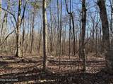14.53 Ac Pickett Park Hwy - Photo 19