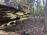 14.53 Ac Pickett Park Hwy - Photo 23