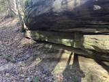 14.53 Ac Pickett Park Hwy - Photo 24