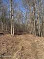 14.53 Ac Pickett Park Hwy - Photo 4